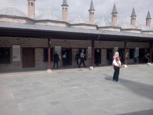 IMG_20140610_100813.jpg 2560x1920 index 106